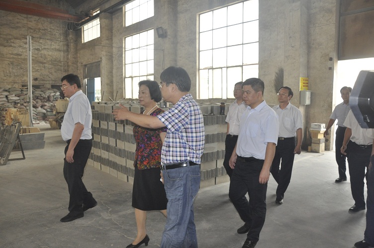 梁静主席一行赴巩义调研(图4) 梁静主席一行赴巩义调研(图4)