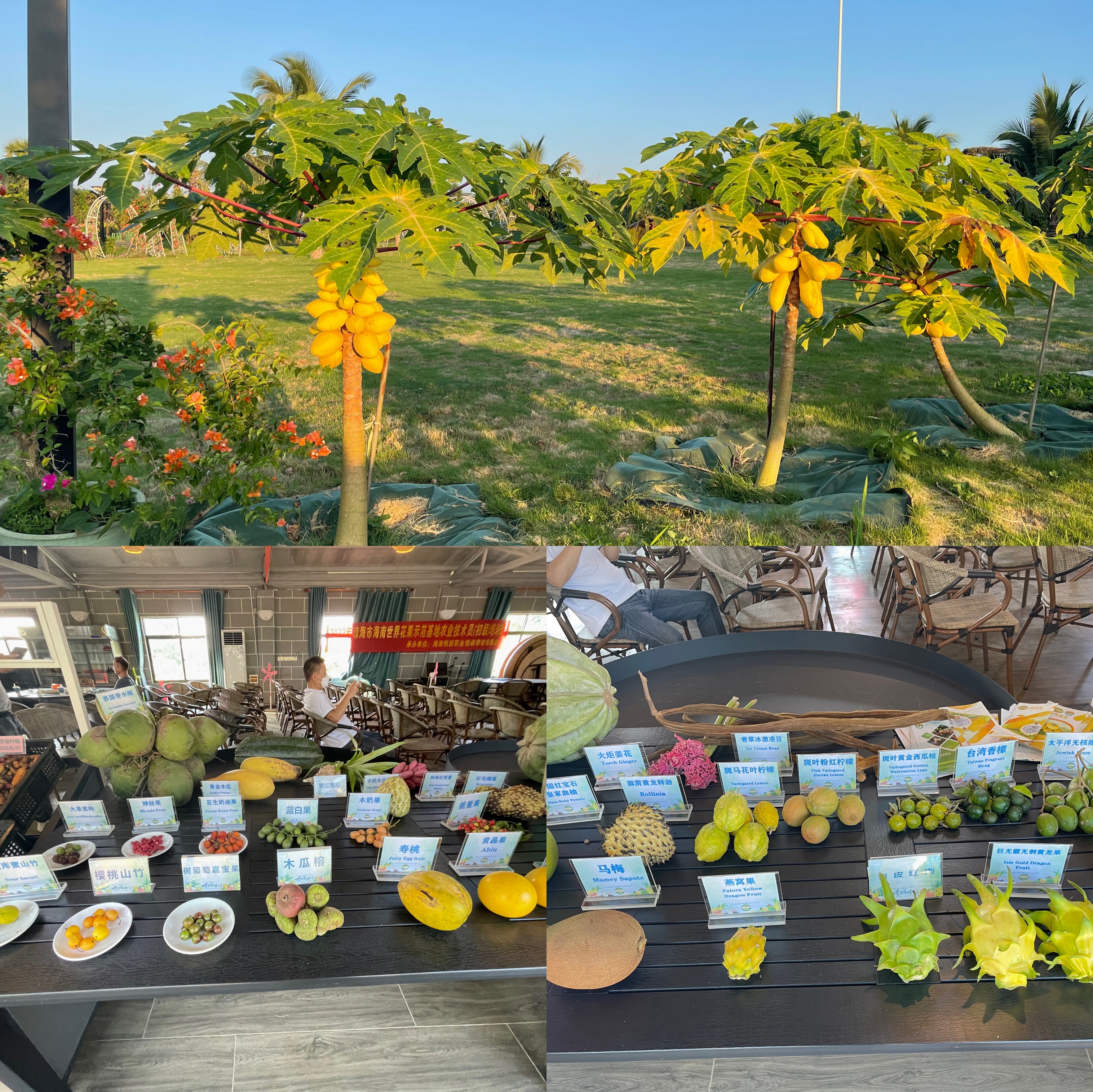 共谋发展 同话未来(图5) e59af5f78d661867430de8f0792ffae.jpg