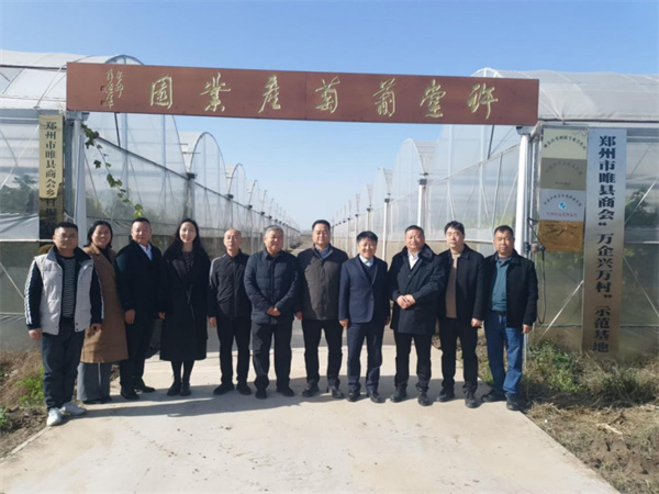 伟德体育直播开奖入口赴睢县调研266.jpg