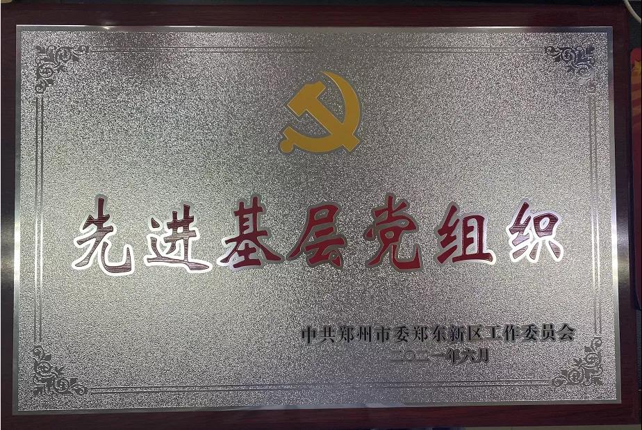 党建获得殊荣 献礼百年华诞(图3)