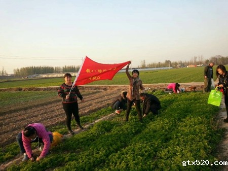 金水区经八路工商联组织商户参观中牟绿色无公害蔬菜基地(图1)
