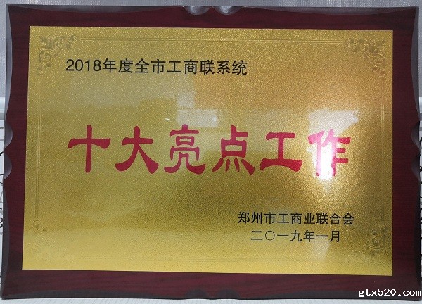 郑州市盐城商会获伟德体育直播开奖入口十大亮点工作表彰(图3)