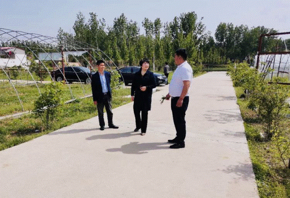 中牟县工商联调研河南印象老家农业科技有限公司精准扶贫情况(图3)