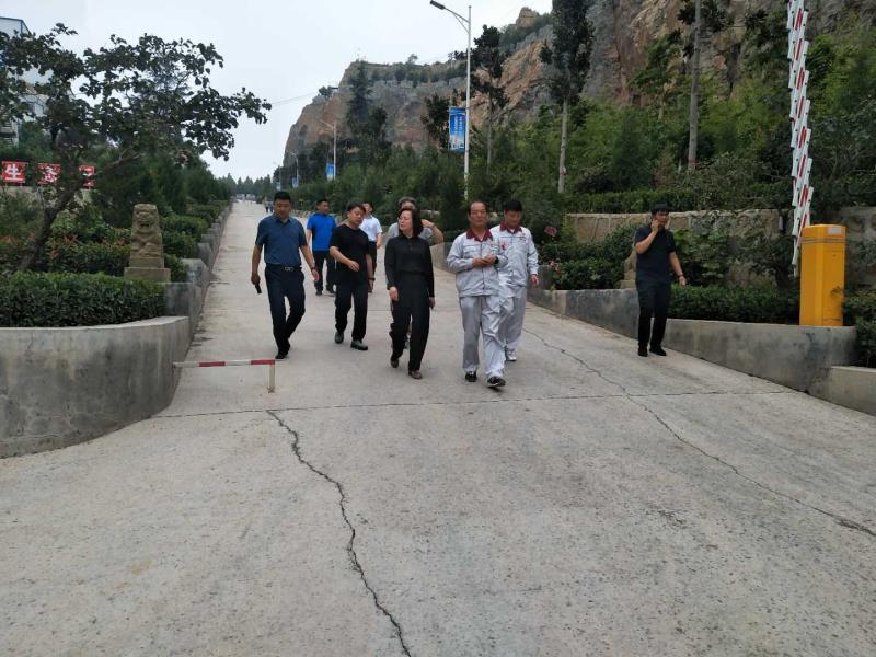 登封市工商联组织青年企业家开展绿色企业调研活动(图2)