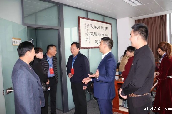 龙子湖街道人大工委组织 辖区内市区两级人大代表来我会视察工作(图2)